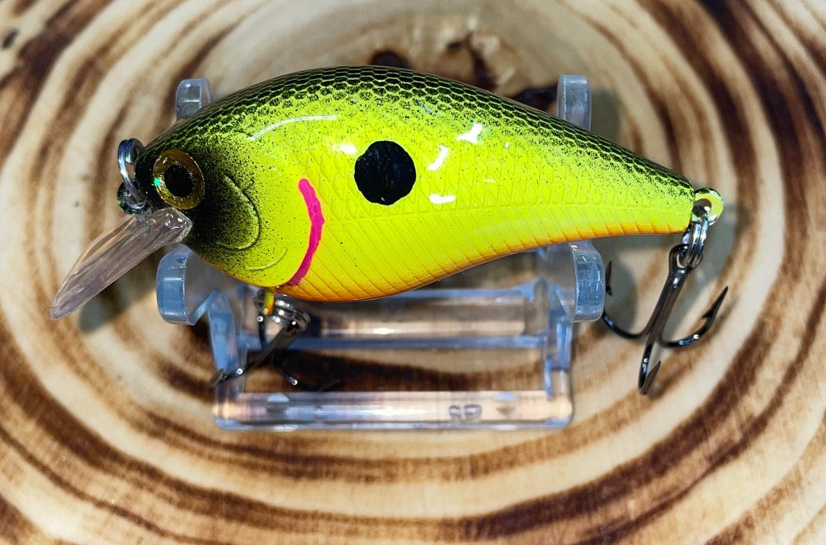 SQUAREBILL- Chartreuse Bumble Bee