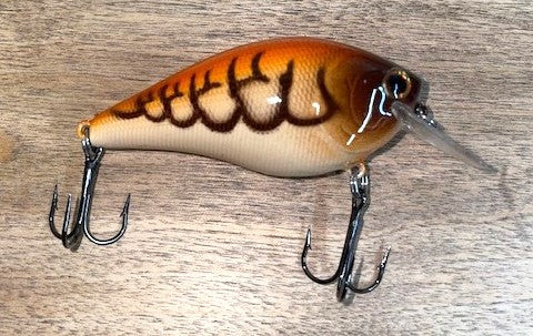 SQUAREBILL- Orange Pumpkin Craw