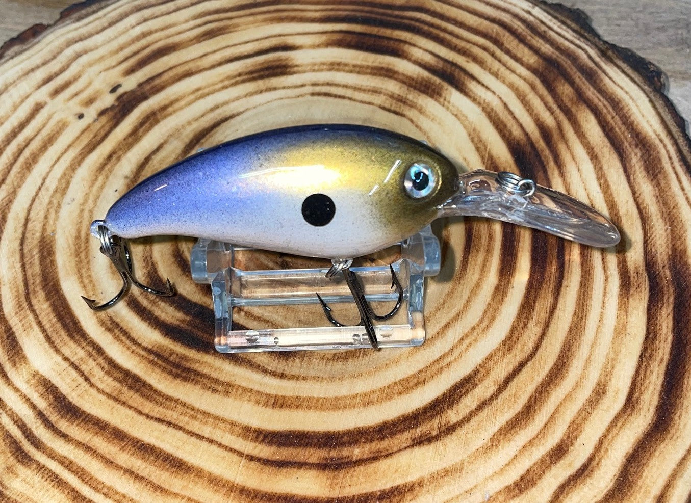 DEEP DIVER- Alewife Shad