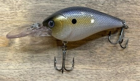 DEEP DIVER- Alewife Shad