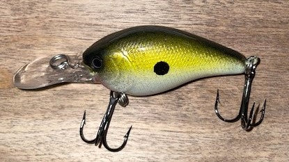 DEEP DIVER- Golden Shiner