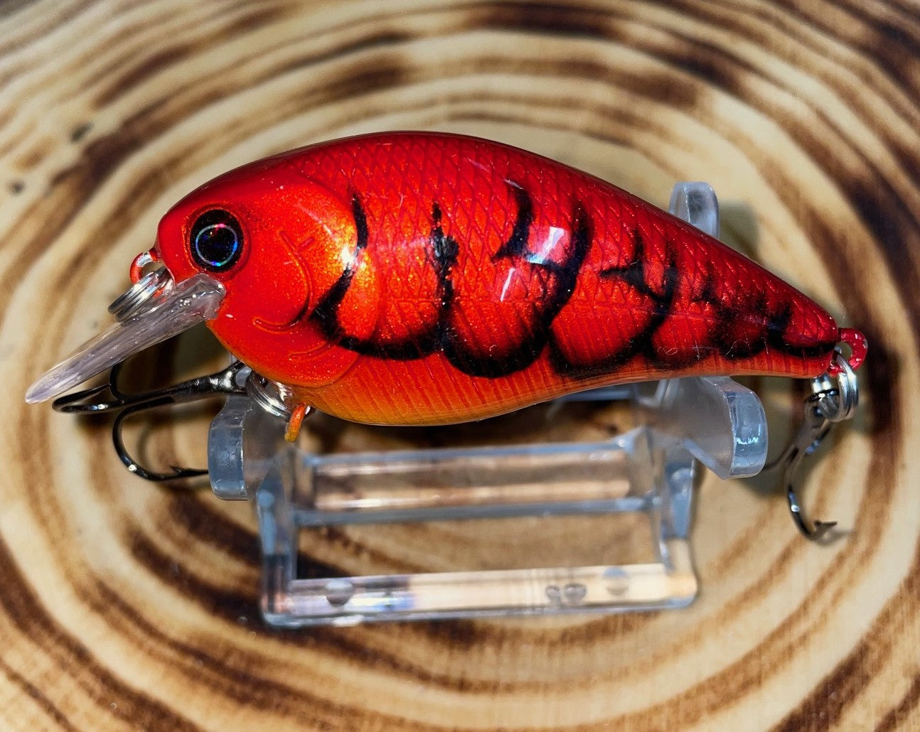 SQUAREBILL- Blood Red Craw