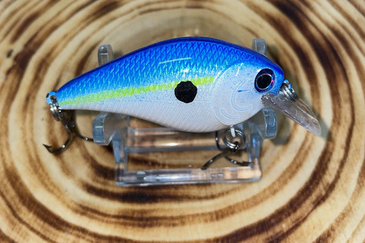 SQUAREBILL- Blue Sexy Shad