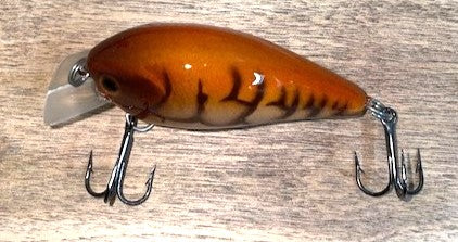 SQUAREBILL- Orange Pumpkin Craw