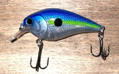 SQUAREBILL- Blue Sexy Shad Transparent