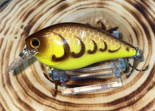 SQUAREBILL- Chartreuse and Brown Craw