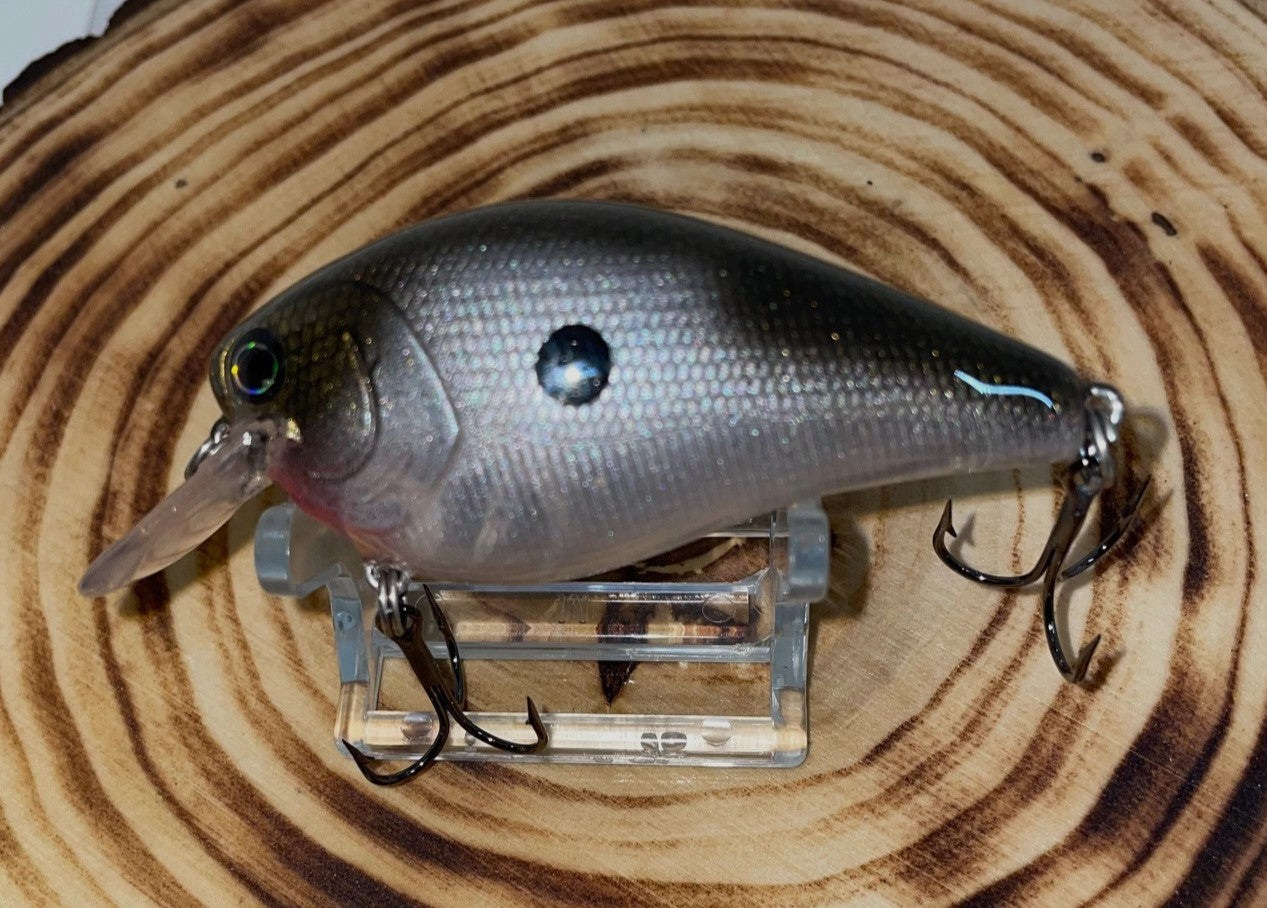 SQUAREBILL- Copperback Shad Transparent