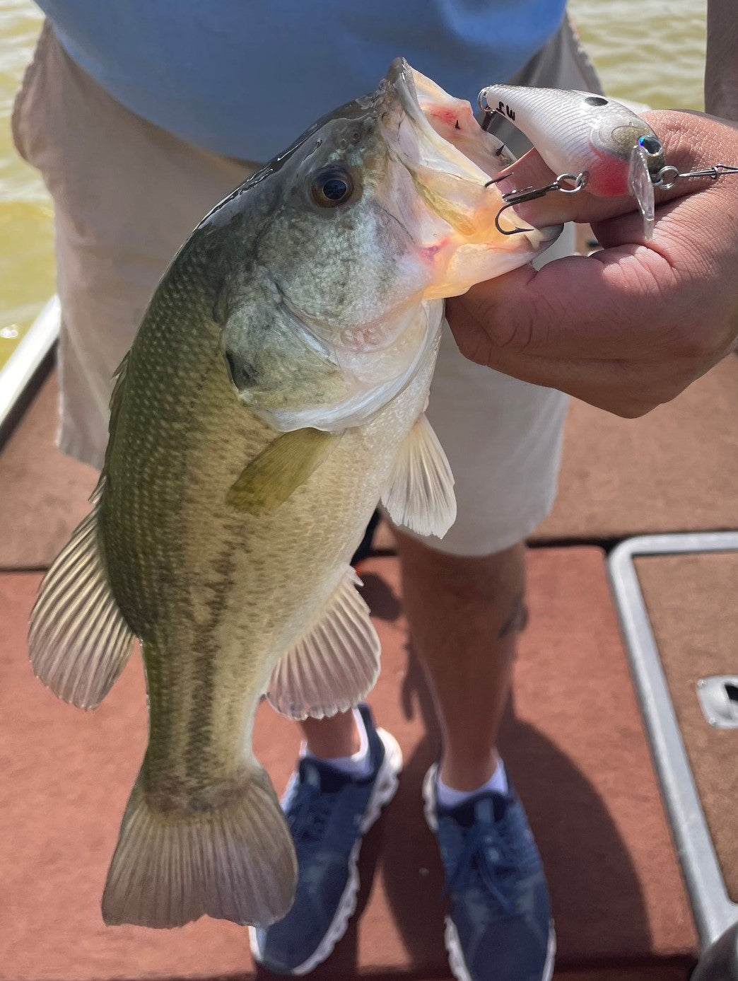 DEEP DIVER- Copperback Shad