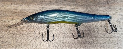 JERKBAIT- Blue Sexy Belly