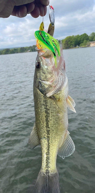 SPINNERBAIT- Chartreuse, Orange, Green