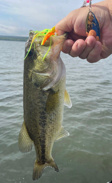 SPINNERBAIT- Chartreuse, Orange, Green